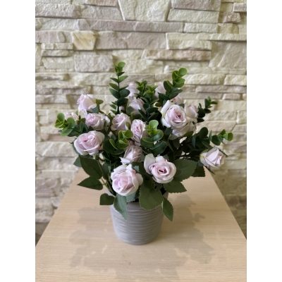 Сосна, 1,5 м. Розпушена