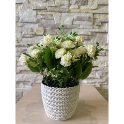 Сосна, 1,5 м. Розпушена