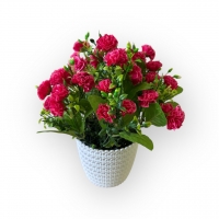 Букет гвоздики карликової в кашпо