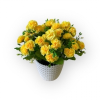 Букет гвоздики карликової в кашпо