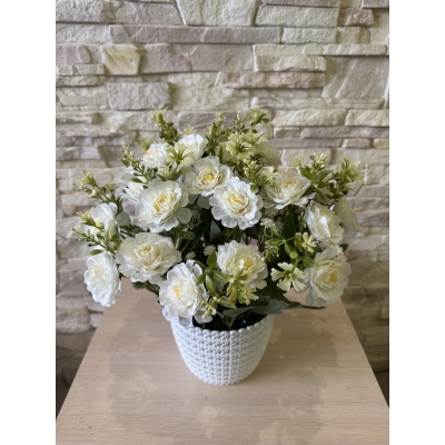 Сосна, 1,5 м. Розпушена