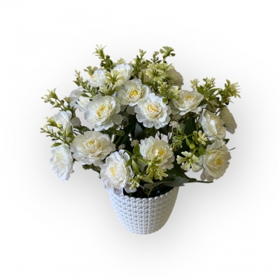 Сосна, 1,5 м. Розпушена