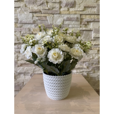 Сосна, 1,5 м. Розпушена