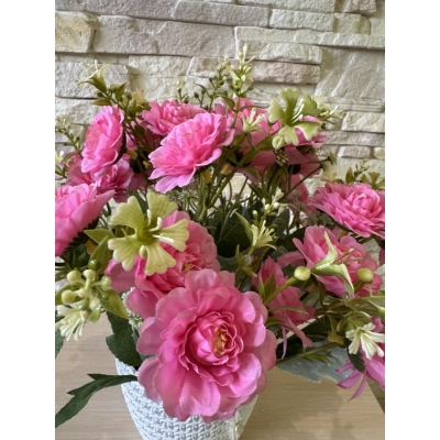 Сосна, 1,5 м. Розпушена