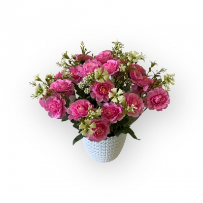 Сосна, 1,5 м. Розпушена