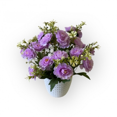 Сосна, 1,5 м. Розпушена