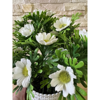 Сосна, 1,5 м. Розпушена