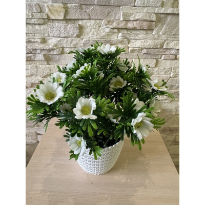 Сосна, 1,5 м. Розпушена