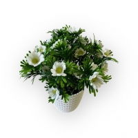 Букет ромашки в кашпо