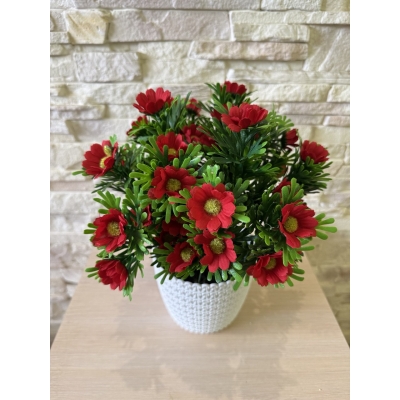 Сосна, 1,5 м. Розпушена