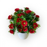 Букет ромашки в кашпо