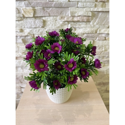 Сосна, 1,5 м. Розпушена