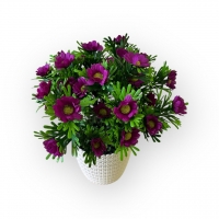 Букет ромашки в кашпо