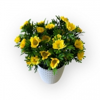 Букет ромашки в кашпо