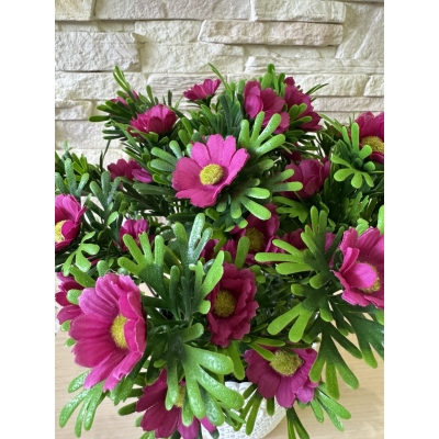 Сосна, 1,5 м. Розпушена