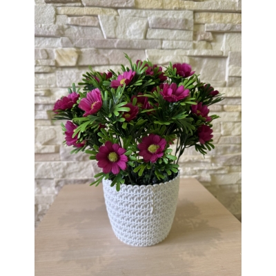 Сосна, 1,5 м. Розпушена