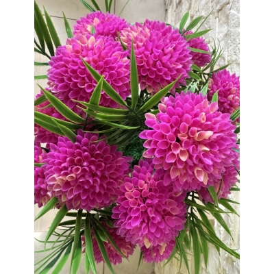 Сосна, 1,5 м. Розпушена