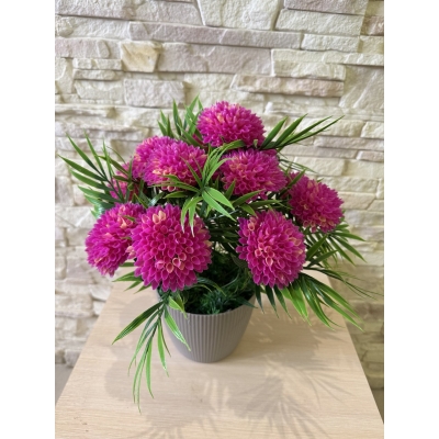 Сосна, 1,5 м. Розпушена