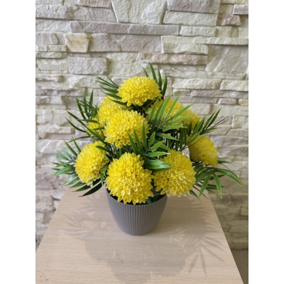 Сосна, 1,5 м. Розпушена