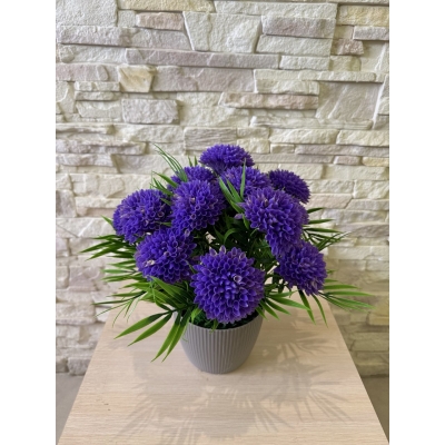 Сосна, 1,5 м. Розпушена