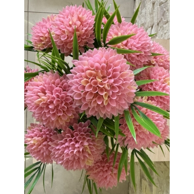 Сосна, 1,5 м. Розпушена