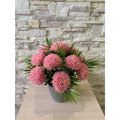 Сосна, 1,5 м. Розпушена