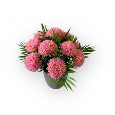 Сосна, 1,5 м. Розпушена