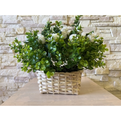 Сосна, 1,5 м. Розпушена