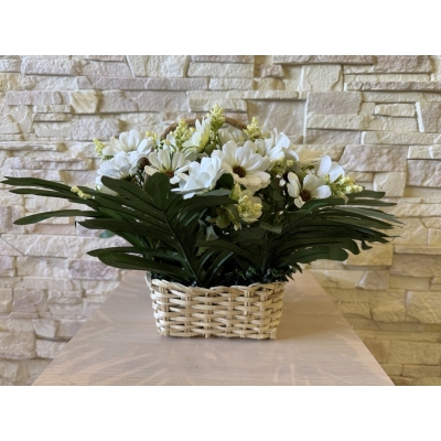 Сосна, 1,5 м. Розпушена