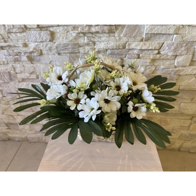 Сосна, 1,5 м. Розпушена