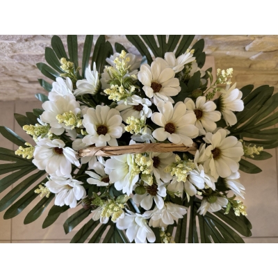 Сосна, 1,5 м. Розпушена