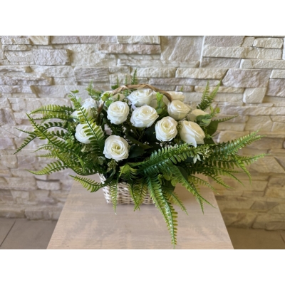 Сосна, 1,5 м. Розпушена