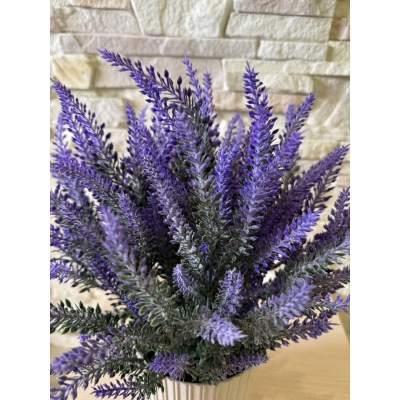 Сосна, 1,5 м. Розпушена