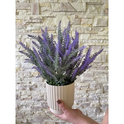 Сосна, 1,5 м. Розпушена