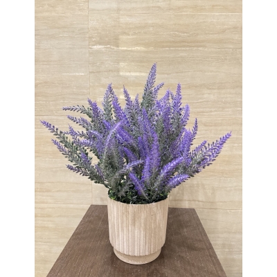 Сосна, 1,5 м. Розпушена