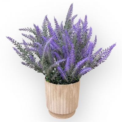 Сосна, 1,5 м. Розпушена