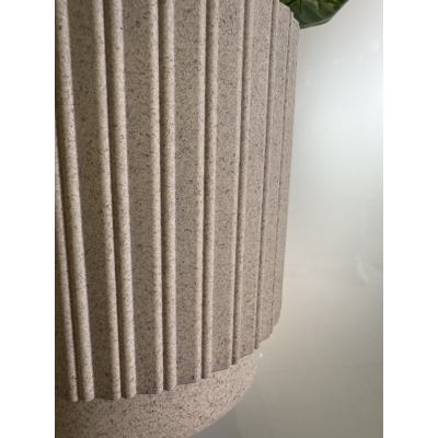 Сосна, 1,5 м. Розпушена