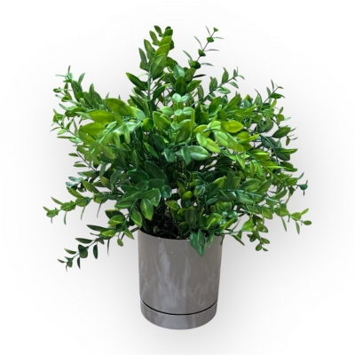 Сосна, 1,5 м. Розпушена