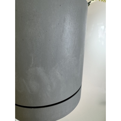 Сосна, 1,5 м. Розпушена