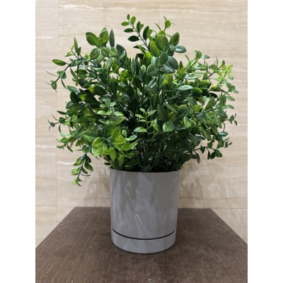 Сосна, 1,5 м. Розпушена