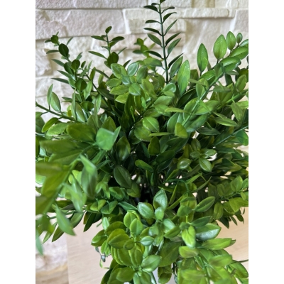 Сосна, 1,5 м. Розпушена