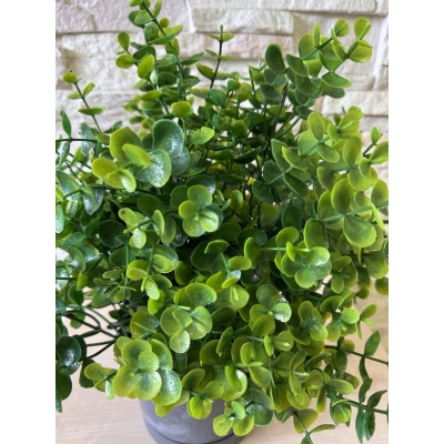 Сосна, 1,5 м. Розпушена