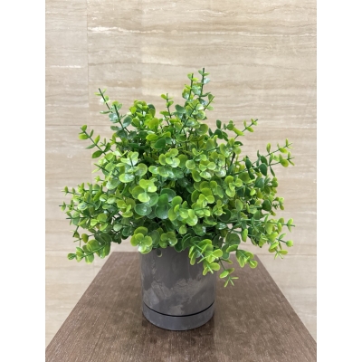 Сосна, 1,5 м. Розпушена