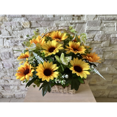 Сосна, 1,5 м. Розпушена