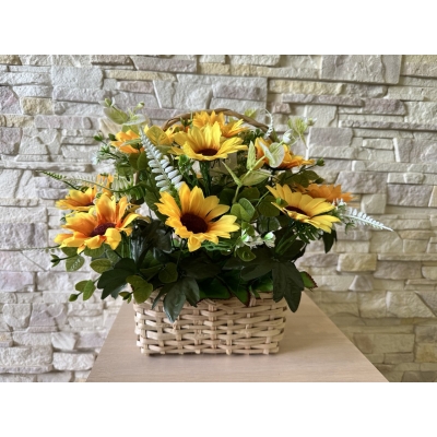 Сосна, 1,5 м. Розпушена