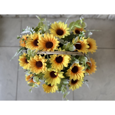 Сосна, 1,5 м. Розпушена