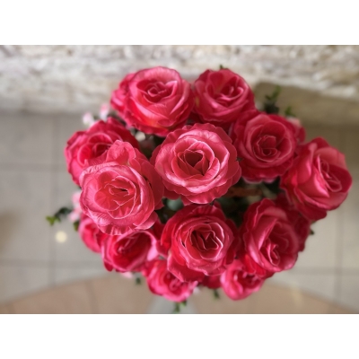 Сосна, 1,5 м. Розпушена