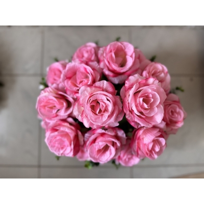 Сосна, 1,5 м. Розпушена