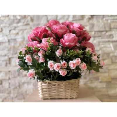 Сосна, 1,5 м. Розпушена