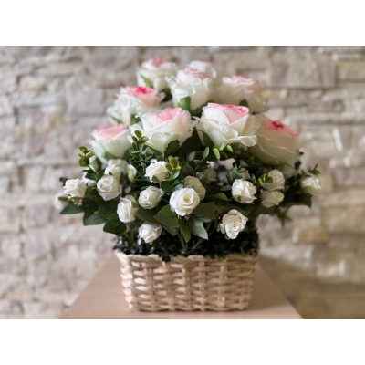 Сосна, 1,5 м. Розпушена